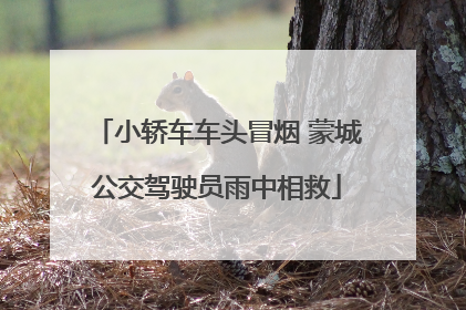 小轿车车头冒烟 蒙城公交驾驶员雨中相救