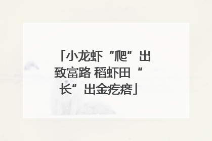 小龙虾“爬”出致富路 稻虾田“长”出金疙瘩