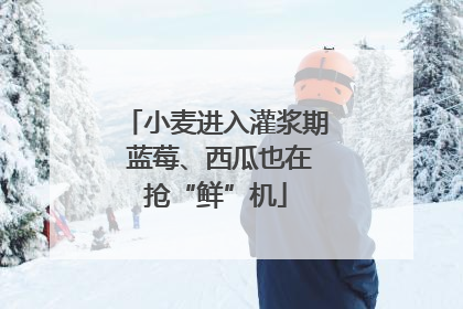 小麦进入灌浆期 蓝莓、西瓜也在抢“鲜”机