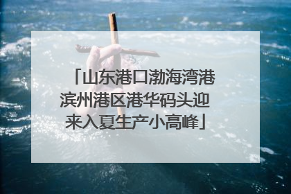 山东港口渤海湾港滨州港区港华码头迎来入夏生产小高峰