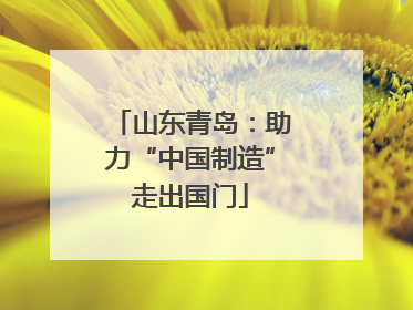 山东青岛：助力“中国制造”走出国门