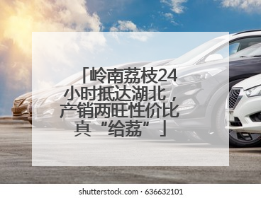 岭南荔枝24小时抵达湖北，产销两旺性价比真“给荔”