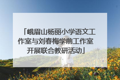 峨眉山杨丽小学语文工作室与刘春梅学前工作室开展联合教研活动