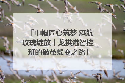 巾帼匠心筑梦 港航玫瑰绽放丨龙拱港智控班的破茧蝶变之路