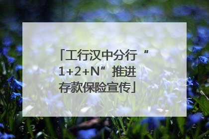 工行汉中分行“1+2+N”推进存款保险宣传