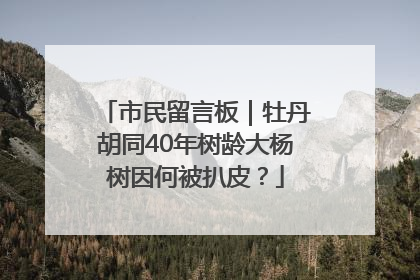 市民留言板｜牡丹胡同40年树龄大杨树因何被扒皮？