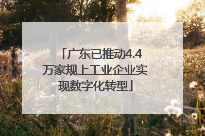 广东已推动4.4万家规上工业企业实现数字化转型
