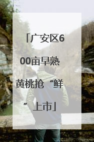 广安区600亩早熟黄桃抢“鲜”上市