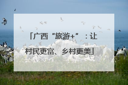 广西“旅游+”：让村民更富、乡村更美