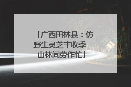 广西田林县：仿野生灵芝丰收季 山林间劳作忙