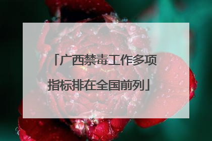 广西禁毒工作多项指标排在全国前列