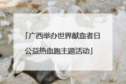 广西举办世界献血者日公益热血跑主题活动