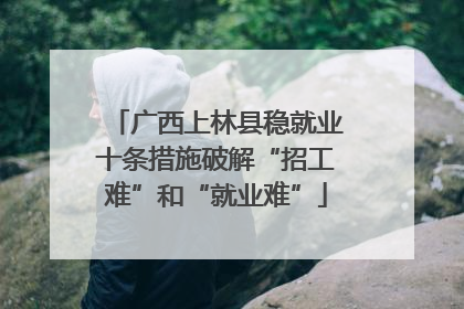 广西上林县稳就业十条措施破解“招工难”和“就业难”