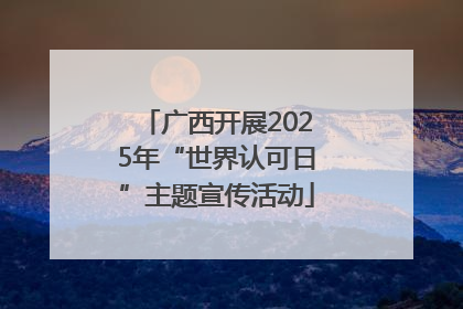 广西开展2025年“世界认可日”主题宣传活动