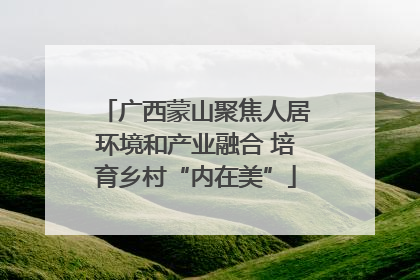广西蒙山聚焦人居环境和产业融合 培育乡村“内在美”