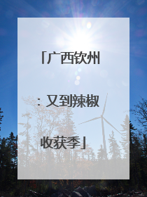 广西钦州：又到辣椒收获季