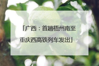 广西：首趟梧州南至重庆西高铁列车发出