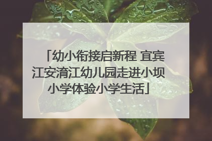 幼小衔接启新程 宜宾江安淯江幼儿园走进小坝小学体验小学生活