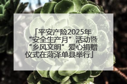 平安产险2025年“安全生产月”活动暨“乡风文明”爱心捐赠仪式在菏泽单县举行