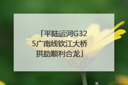 平陆运河G325广南线钦江大桥拱肋顺利合龙