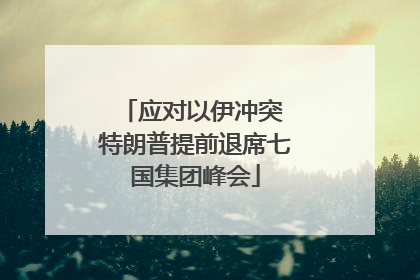 应对以伊冲突 特朗普提前退席七国集团峰会