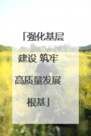 强化基层建设 筑牢高质量发展根基