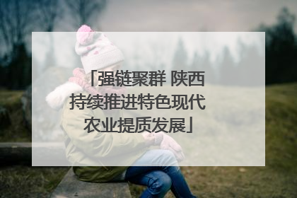 强链聚群 陕西持续推进特色现代农业提质发展
