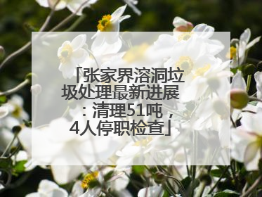 张家界溶洞垃圾处理最新进展：清理51吨，4人停职检查
