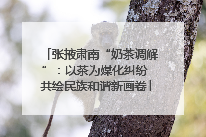 张掖肃南“奶茶调解”：以茶为媒化纠纷 共绘民族和谐新画卷