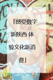 感受数字新陕西 体验文化新消费