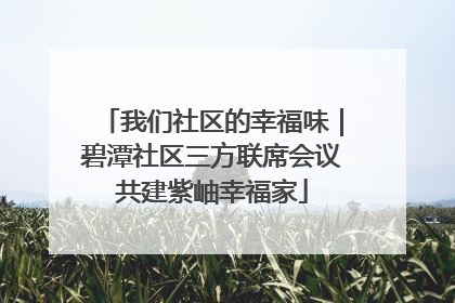 我们社区的幸福味｜碧潭社区三方联席会议共建紫岫幸福家