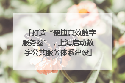 打造“便捷高效数字服务圈”，上海启动数字公共服务体系建设