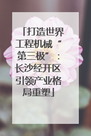 打造世界工程机械“第三极”：长沙经开区引领产业格局重塑