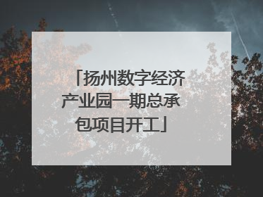 扬州数字经济产业园一期总承包项目开工