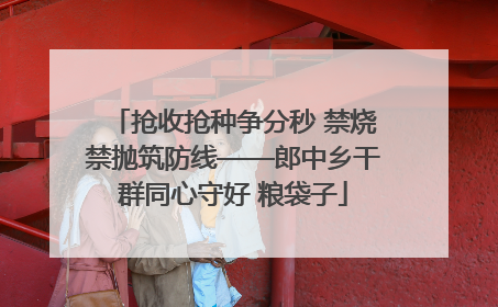抢收抢种争分秒 禁烧禁抛筑防线——郎中乡干群同心守好 粮袋子