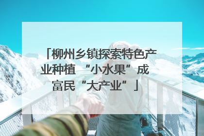 柳州乡镇探索特色产业种植 “小水果”成富民“大产业”