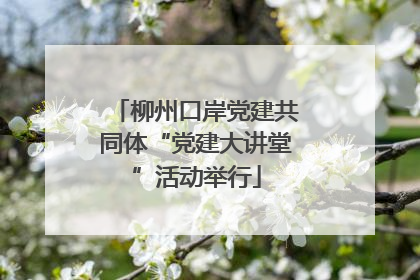 柳州口岸党建共同体“党建大讲堂”活动举行