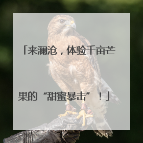 来澜沧，体验千亩芒果的“甜蜜暴击”！