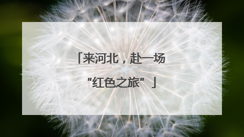 来河北，赴一场“红色之旅”