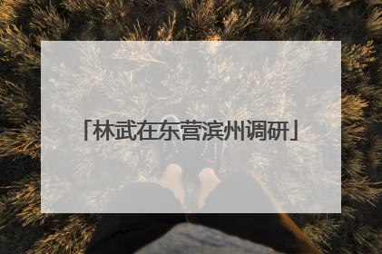 林武在东营滨州调研