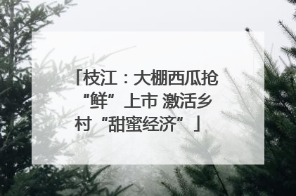 枝江：大棚西瓜抢“鲜”上市 激活乡村“甜蜜经济”