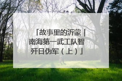 故事里的沂蒙|南海第一武工队智歼日伪军(上)