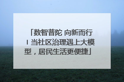 数智普陀 向新而行〡当社区治理遇上大模型，居民生活更便捷