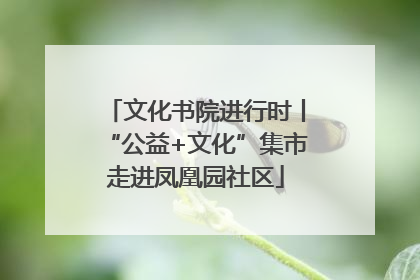 文化书院进行时丨“公益+文化”集市走进凤凰园社区