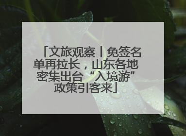 文旅观察丨免签名单再拉长，山东各地密集出台“入境游”政策引客来