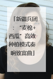 新疆兵团：“麦棉+西瓜”高效种植模式奏响致富曲
