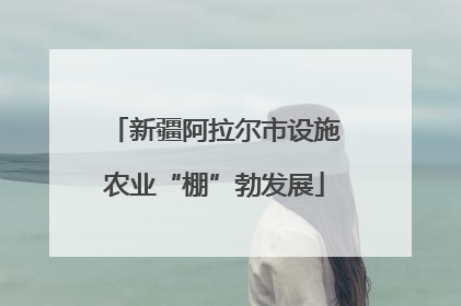 新疆阿拉尔市设施农业“棚”勃发展
