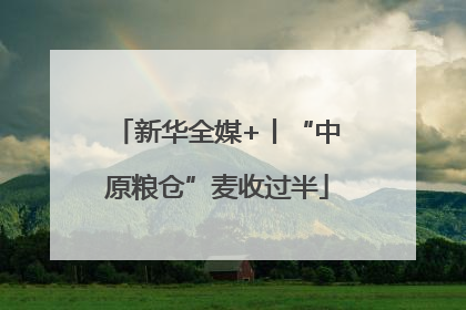 新华全媒+丨“中原粮仓”麦收过半