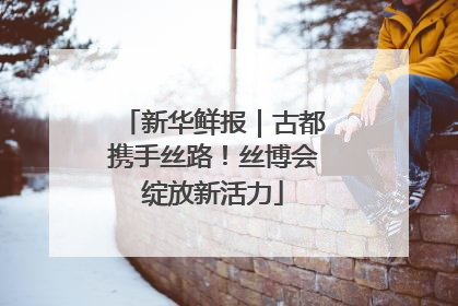 新华鲜报｜古都携手丝路！丝博会绽放新活力