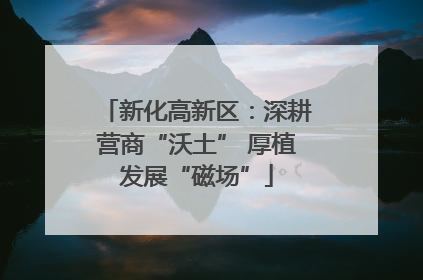新化高新区：深耕营商“沃土” 厚植发展“磁场”